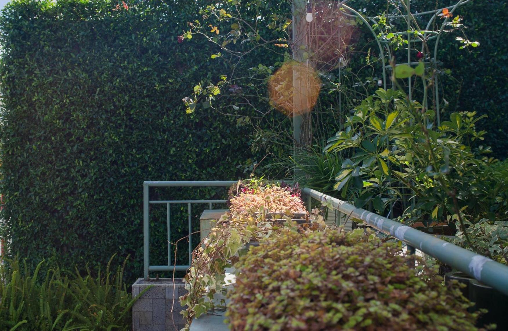 Le Soleil Boutique Hotel Dalat Exterior foto